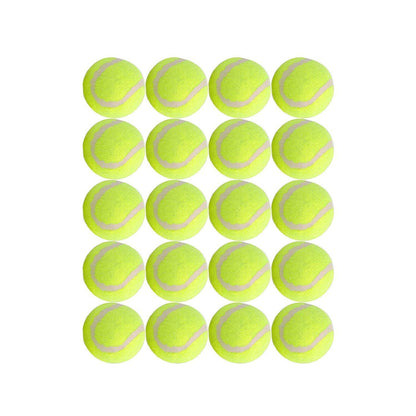 Dog Tennis Balls 20 Pack Pet Tennis Ball for Small Dogs Premium Fetch Toy Non-Toxic Non-Abrasive Material