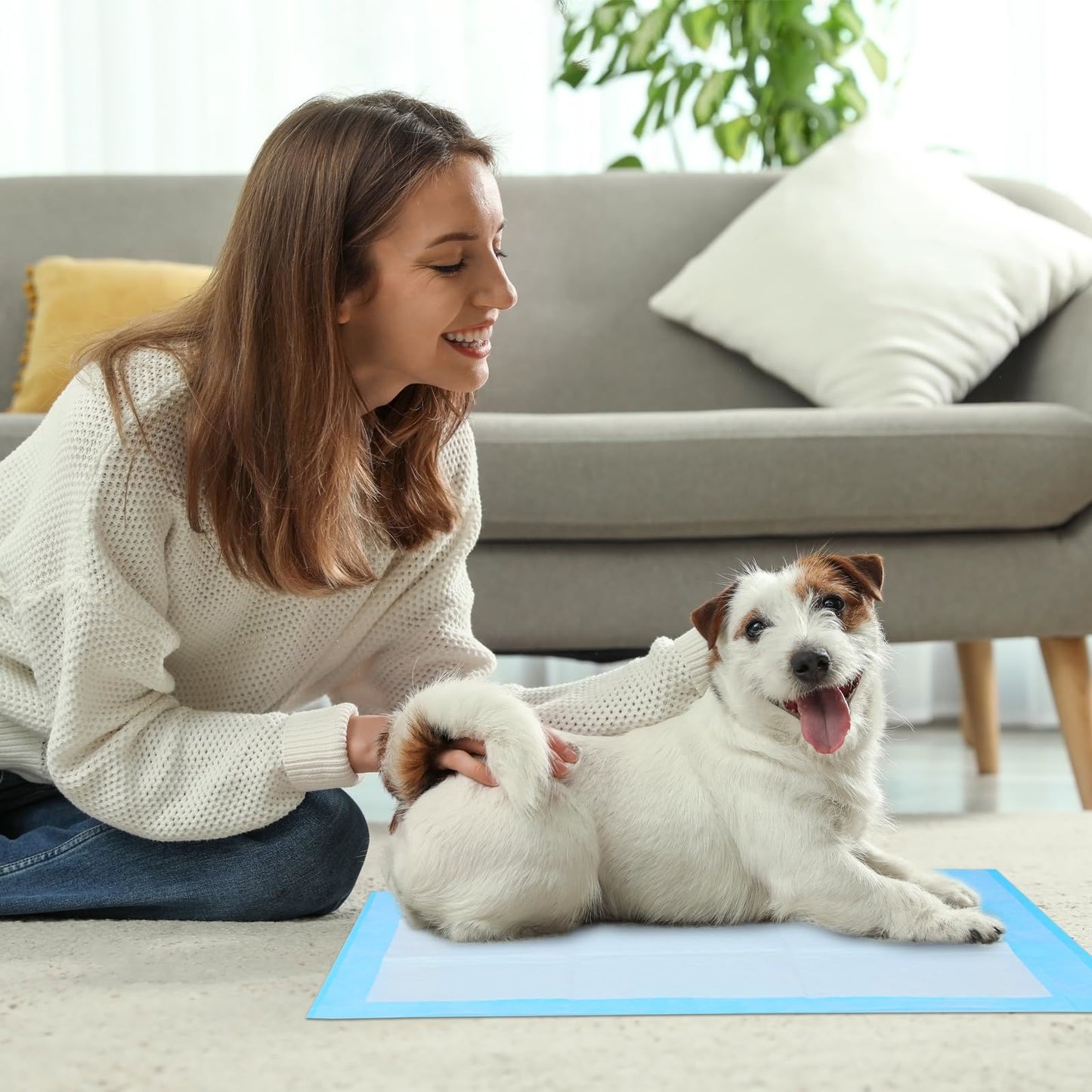 GoofyPet Premium Disposable Training Pads, Pee Pads, 22" x 22" Training Pad, 50 Count Disposable Puppy Pee Pads Quick Absorb and Odor Control Manufactured in US