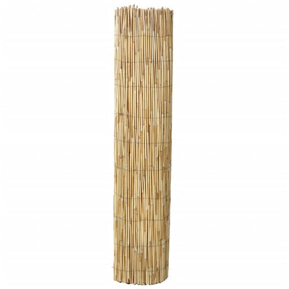 Reed Fences 2 pcs 59.1"x96.9"