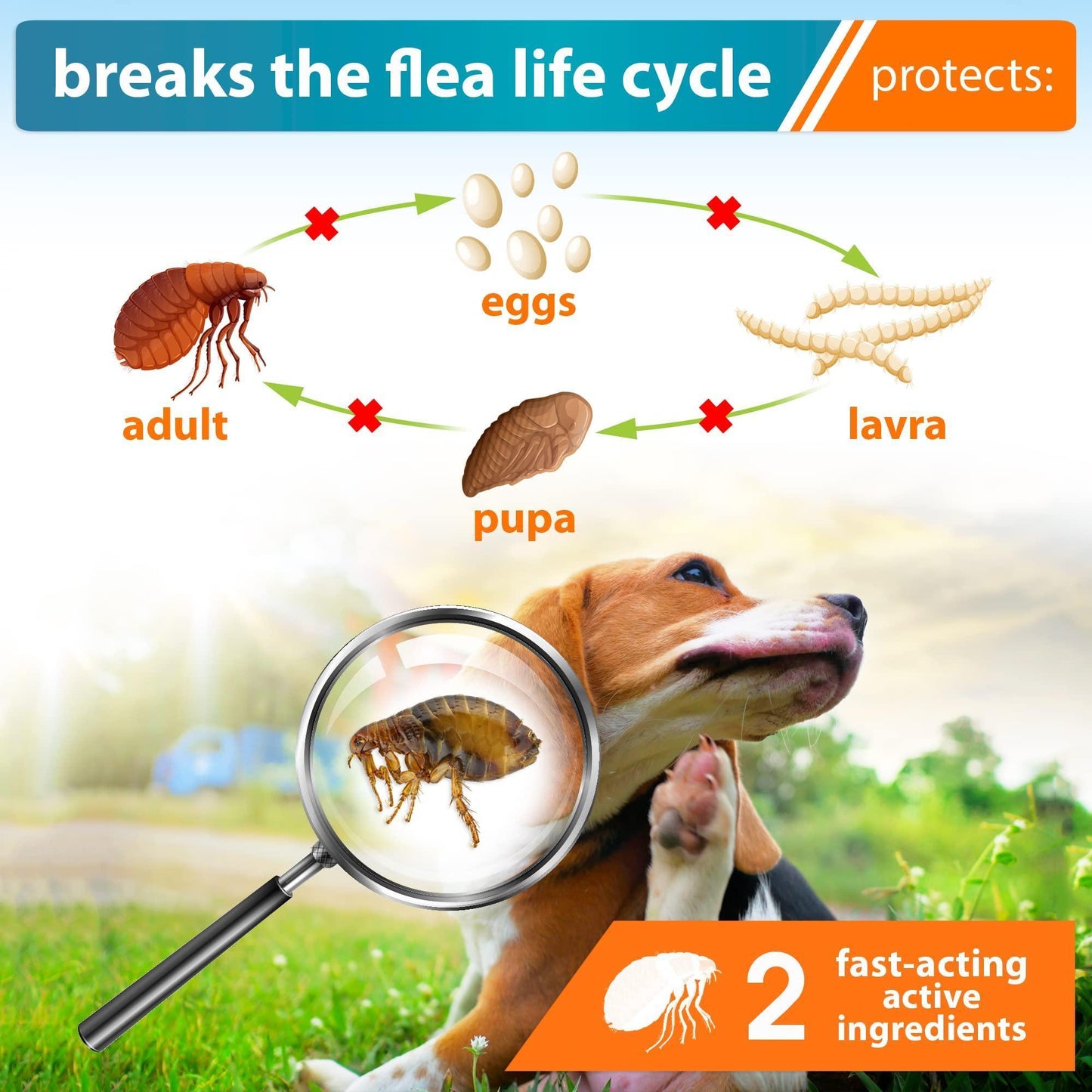 Flea and Tick Prevention for Dogs Puppies Flea Medicine Home Pest Control Topical Treatment Mosquito Repellent for Dogs Small Medium and Extra Large Drops