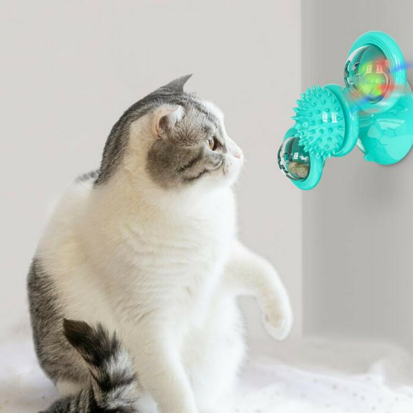 New Pet Windmill Cat Toys Fidget Spinner for Kitten with LED and Catnip Ball XH