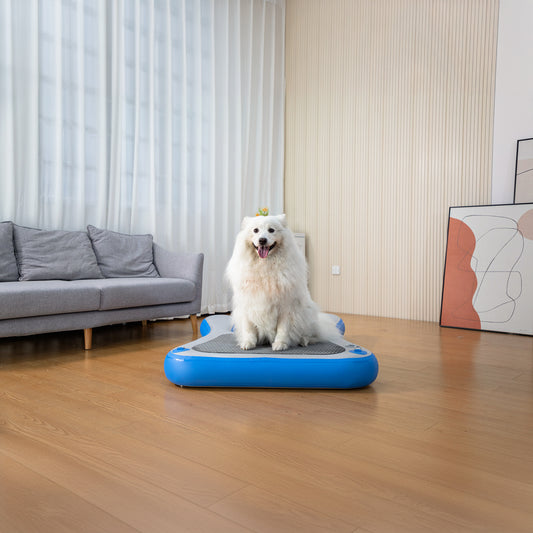 Inflatable Floating Dog Water Ramp Ladder