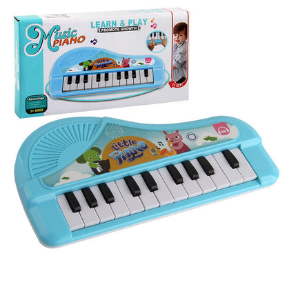 Musical Keyboard; 23 Keys; Music And ABC Songs Pre-Recorded; Educational Music Toys; Carry N' Go Handle