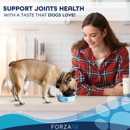 Sensitive Dog Joint 25lb