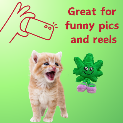 Lil' Mary Jane the Weed Leaf 420 Cat Toy