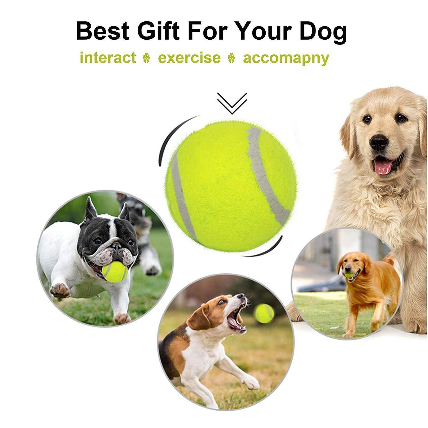 Dog Tennis Balls 20 Pack Pet Tennis Ball for Small Dogs Premium Fetch Toy Non-Toxic Non-Abrasive Material