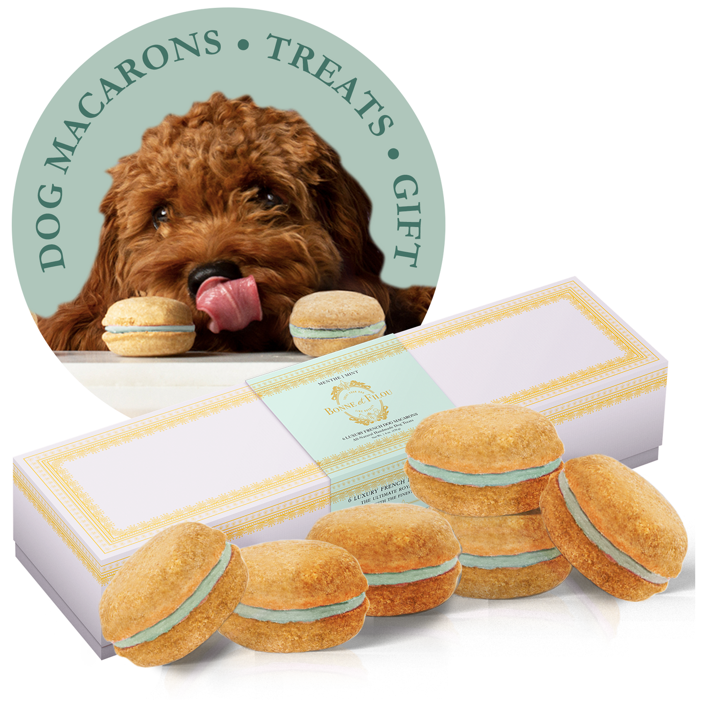 Dog Macarons - Count of 6 (Dog Treats | Dog Gifts)