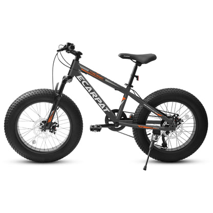 A20316 20 Inch Fat Tire Bike Adult/Youth Full Shimano 7 Speed Mountain Bike, Dual Disc Brake, High-Carbon Steel Frame, Front Suspension, Mountain Trail Bike, Urban Commuter City Bicycle,Fat tire bike