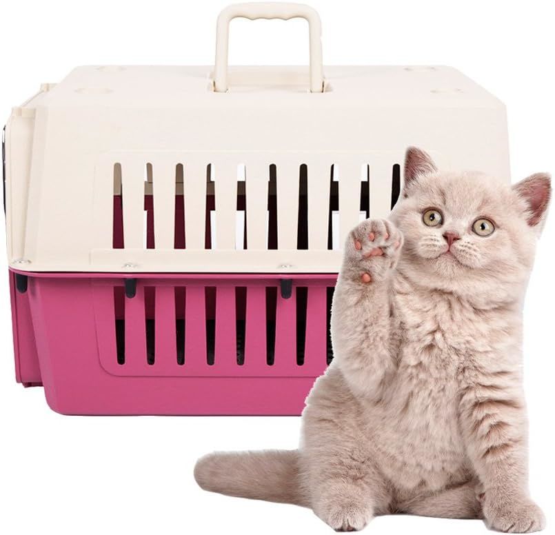 Plastic Cat & Dog Carrier Cage with Chrome Door Portable Pet Box Airline Approved, Medium, Blue/Red